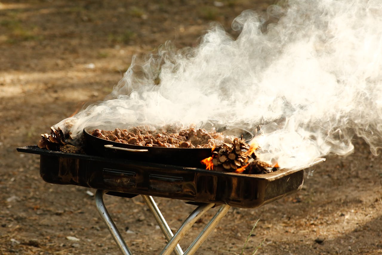 Services Smoky outdoor grilling with pine cone fire on a portable barbecue grill.